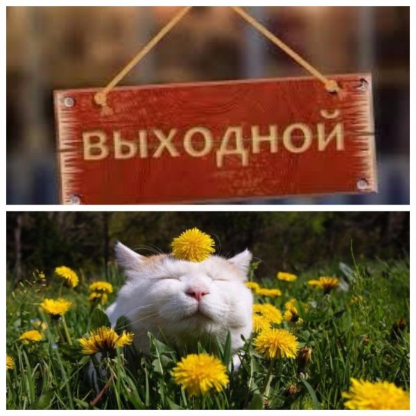 выходной день