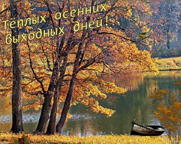 отличных осенних выходных