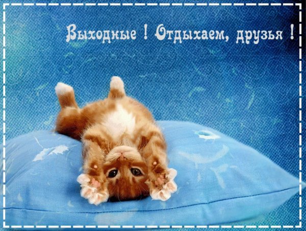 зорошо ттдохну ть в выходные