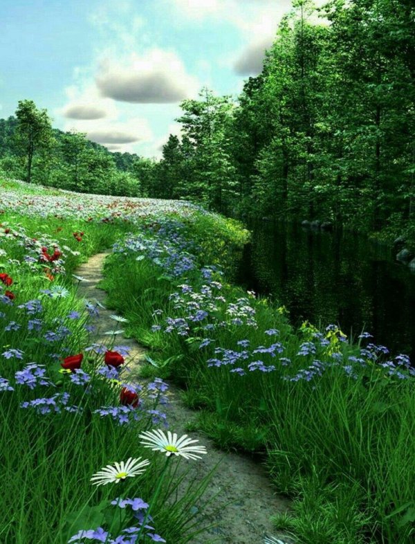 летние пейзажи