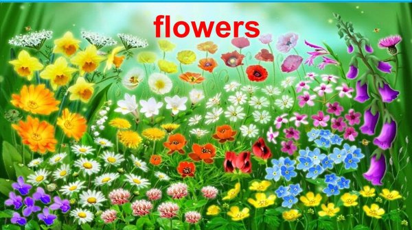 цветочная поляна для детей