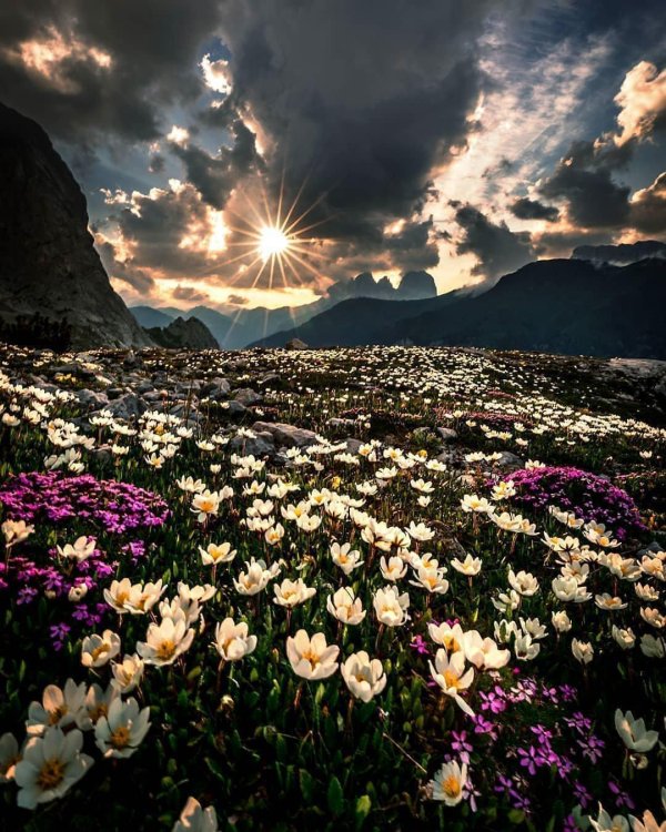 пейзаж горный