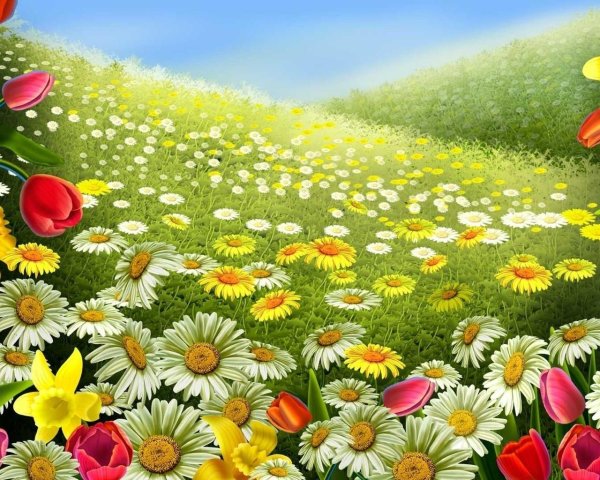 полянка с цветочками