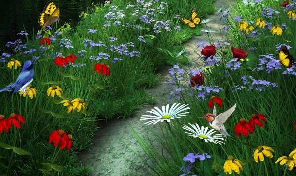 цветочная поляна