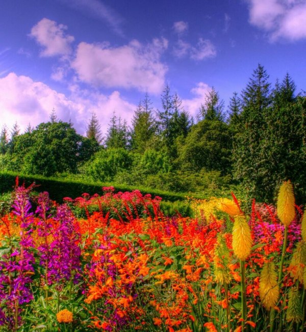 красивый пейзаж лето