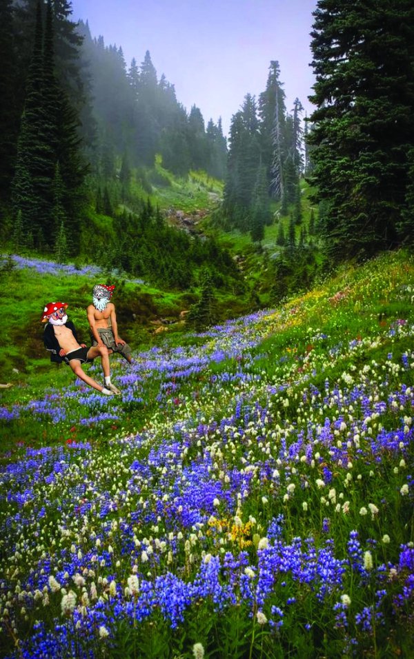 швеция альпийские луга