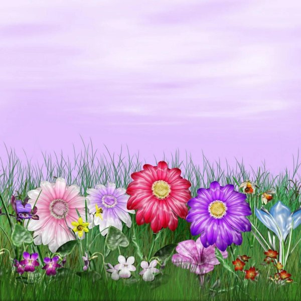 цветы на поляне рисунок