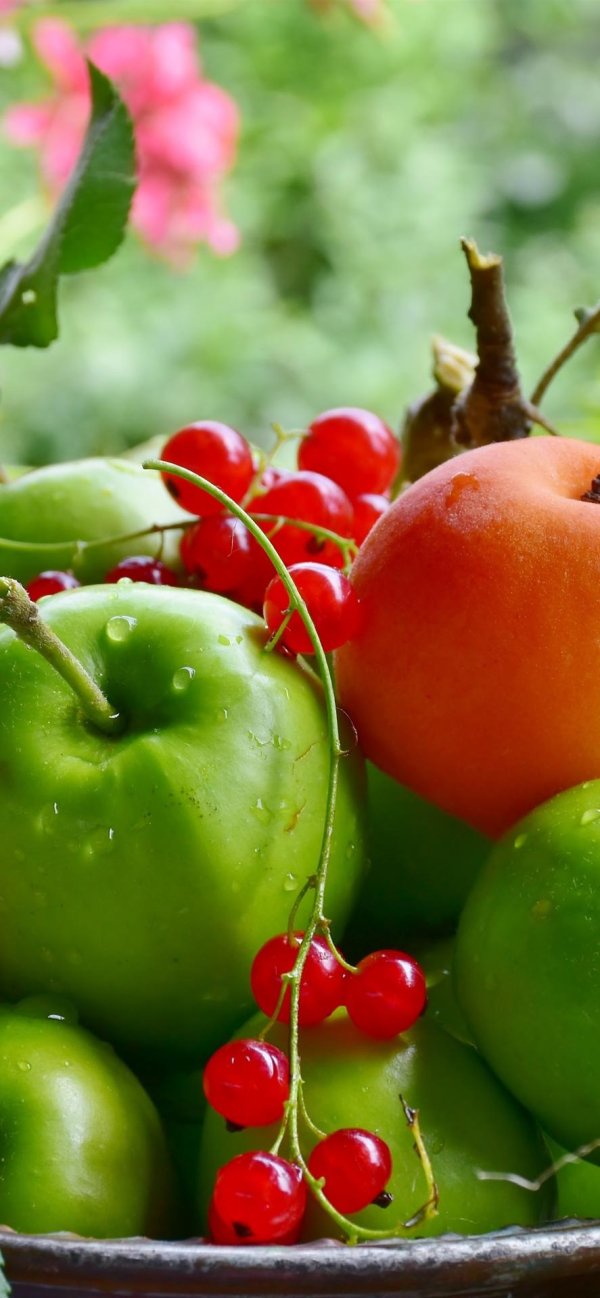 летние фрукты