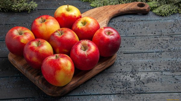 сорта яблок