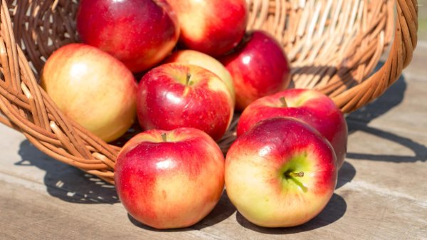 корзина с яблоками