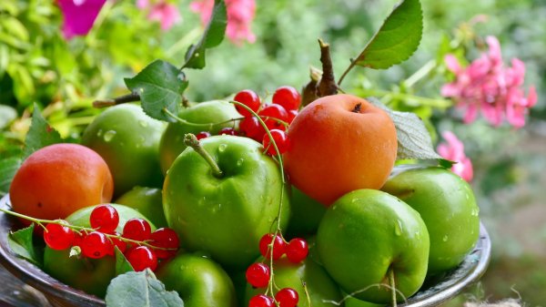 летние фрукты