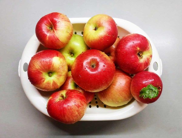 сорта яблок
