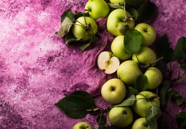 сорт яблони антоновка