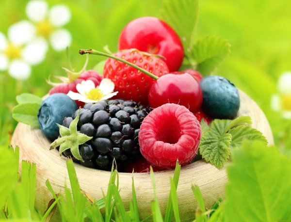 лето ягоды