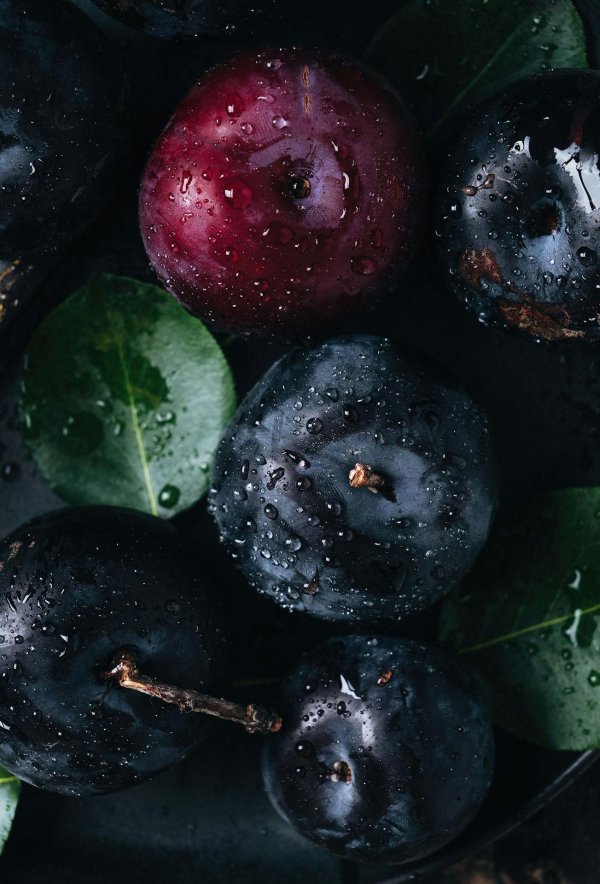 черная слива