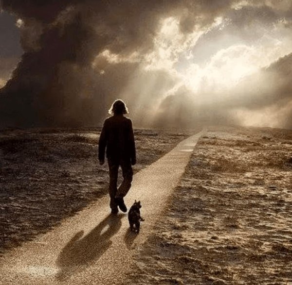 люди идут по дороге