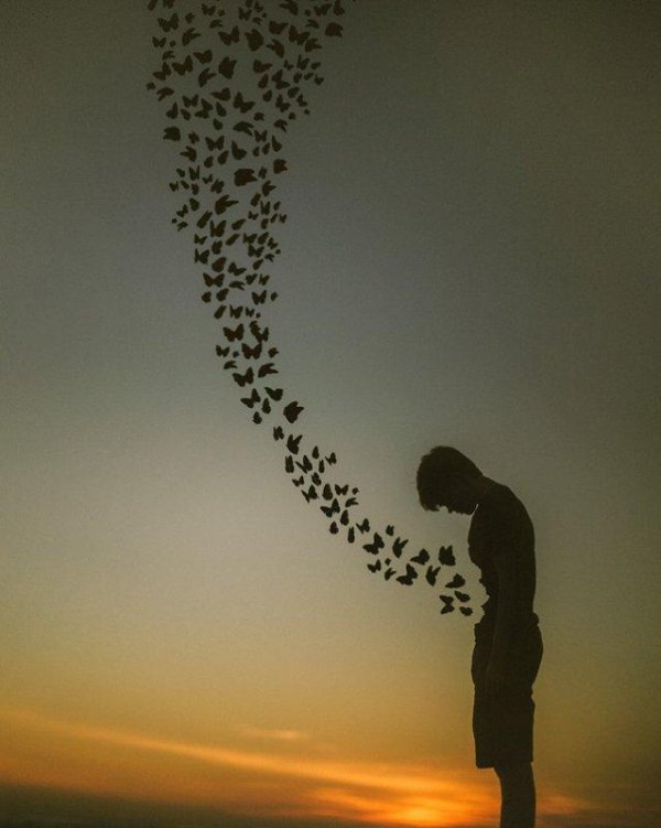 выпускаю бабочек