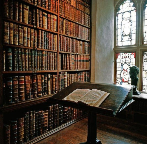 библиотека 19 века