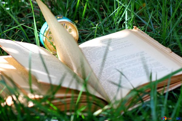 летние книги