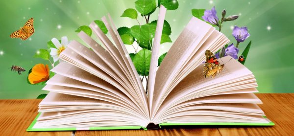 книжное лето