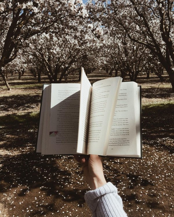 читаем книги