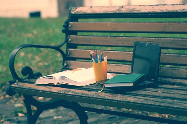 осень скамейка