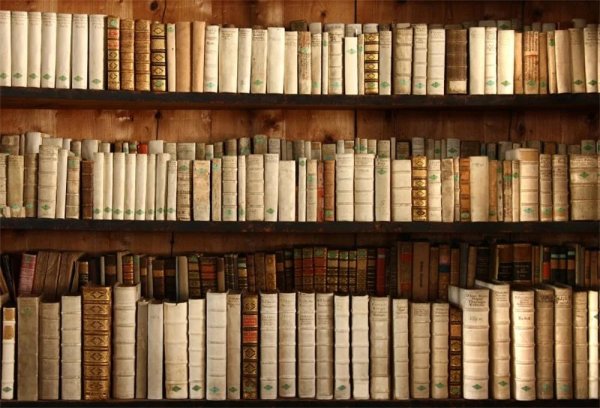 книжная полка