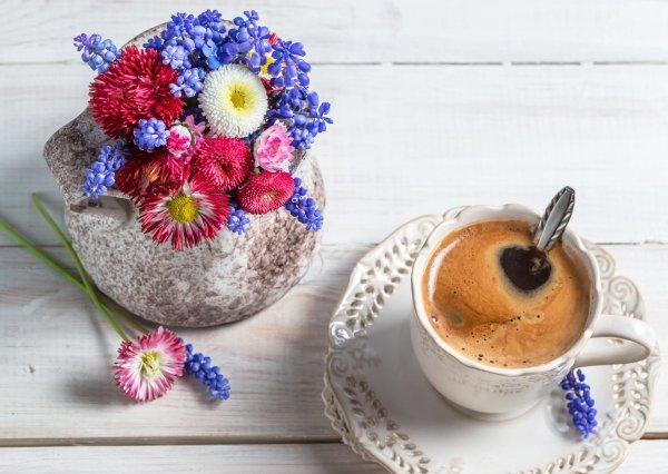 утренние цветы