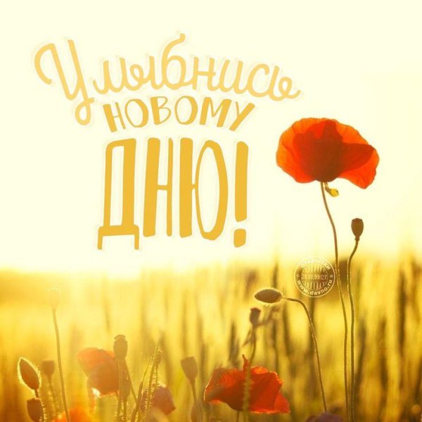 доброе доброе утро августа и хорошего дня