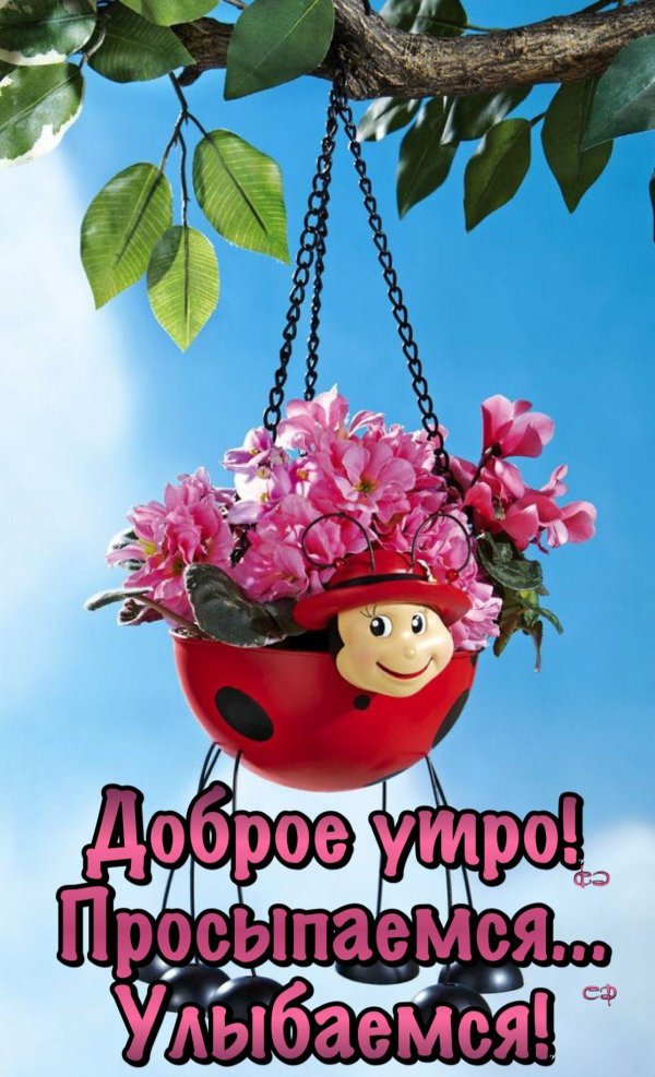 доброе утро радости