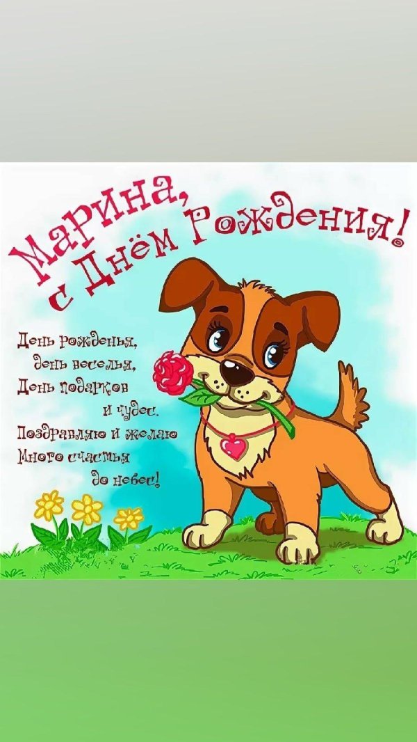 марина с днём рождения смешные поздравления