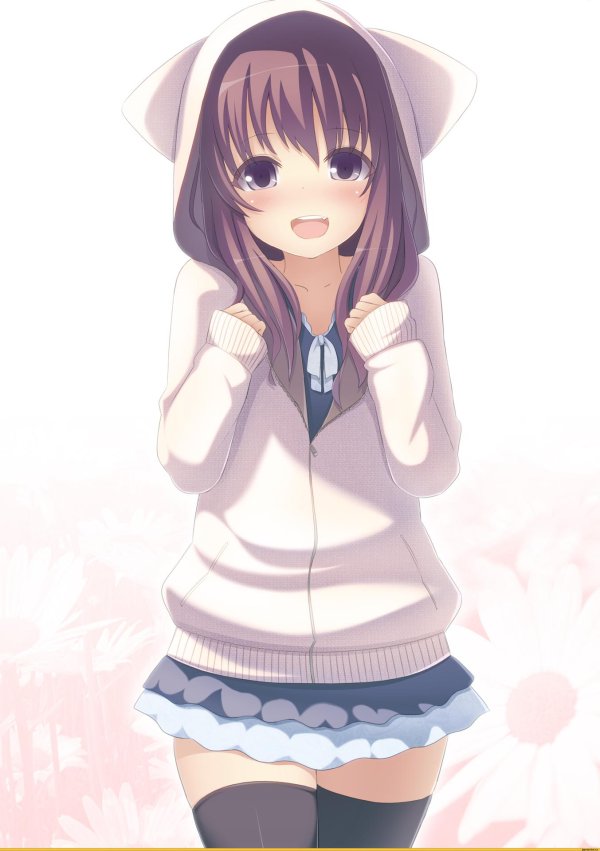 лучшее аниме