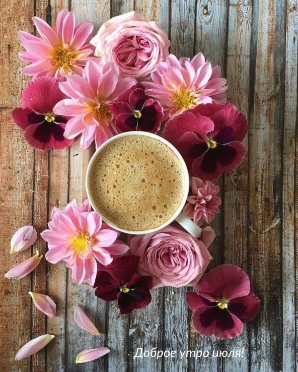 добра утра