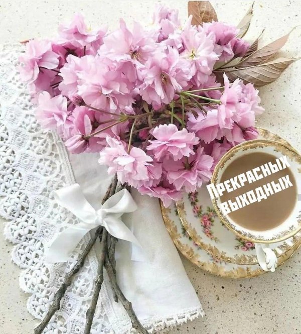 цветы утренние