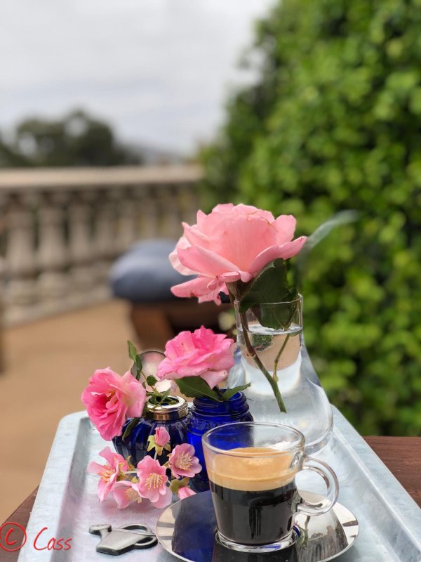 цветы и кофе