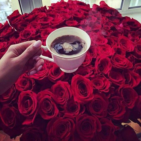 доброго утра с розами