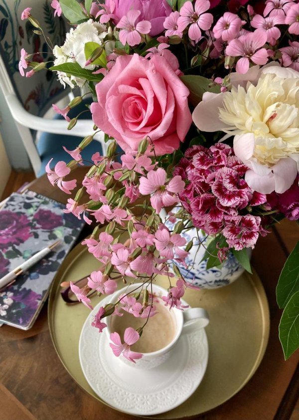 утренние цветы