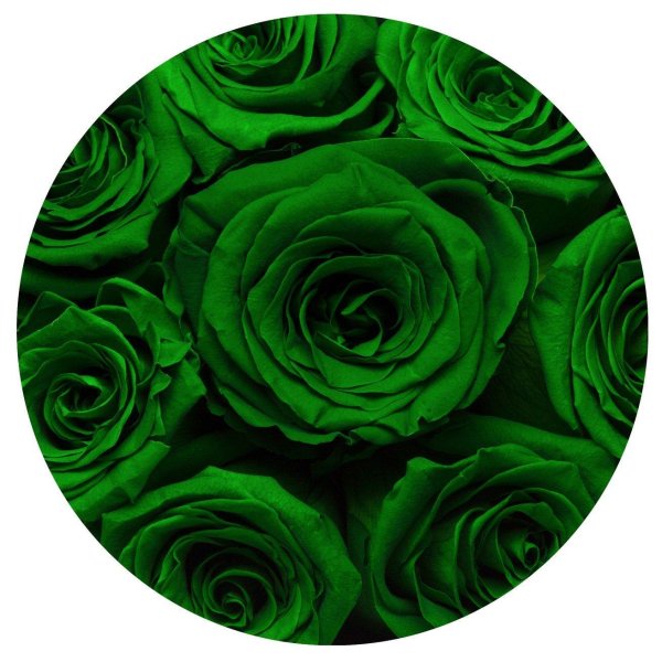 букет зеленых роз