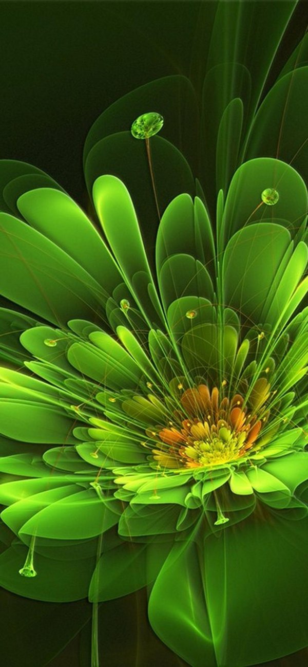 волшебные цветы