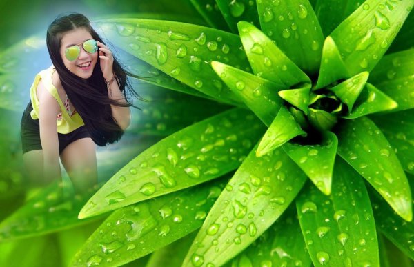 фон зелёный