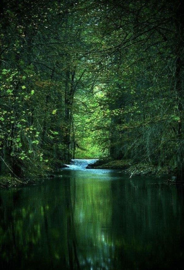 природа река