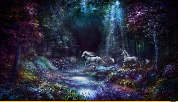 волшебный лес единорогов