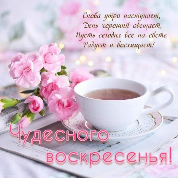 доброе утро воскресенье и хорошего дня