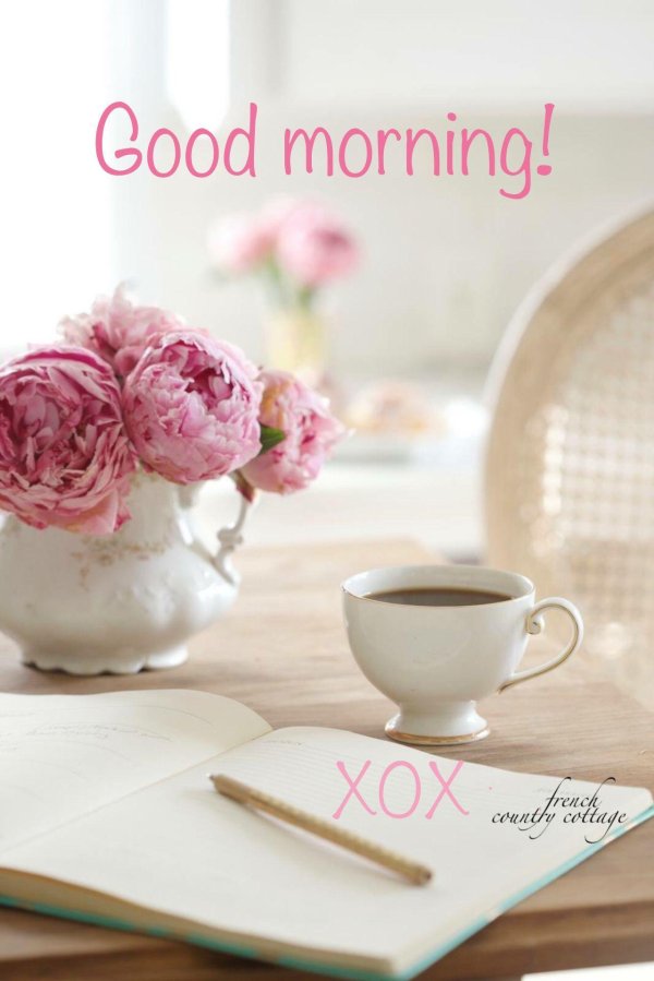 пионы с добрым утром