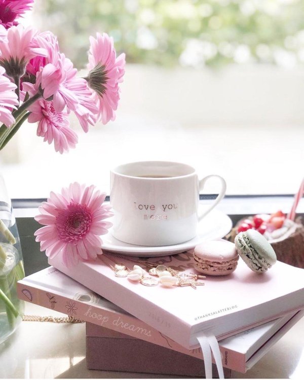 утренние цветы