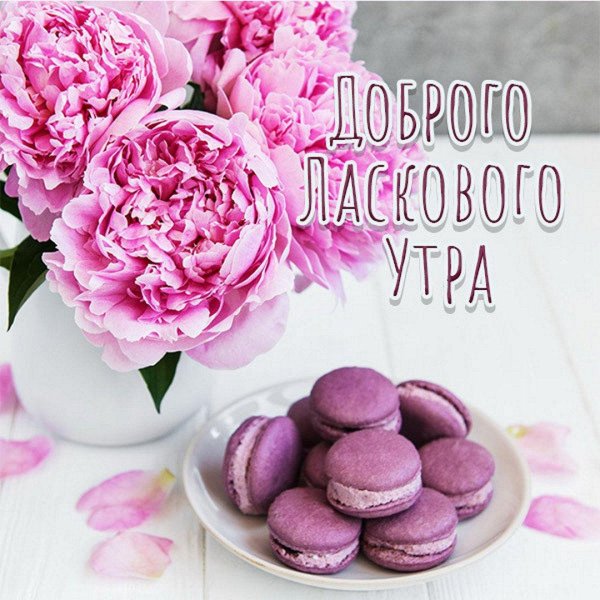 утро открытка