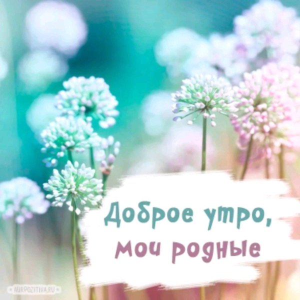доброе утро родные