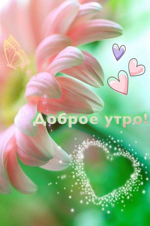 доброе утро нежность