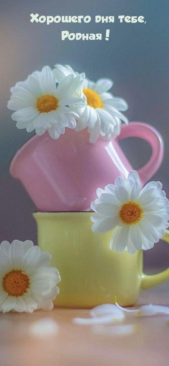добра утра