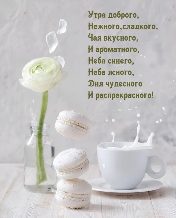 открытка с добрым утром стильная